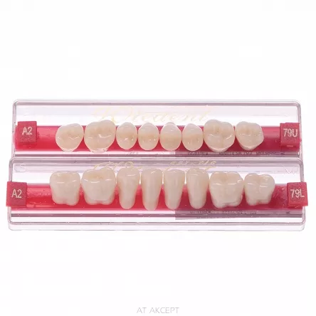 Wiedent Estetic  - zęby akrylowe boki