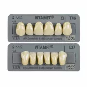VITA MFT - zęby akrylowe 6 szt