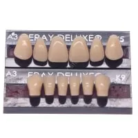 ERAY DELUXE - zęby akrylowe przody