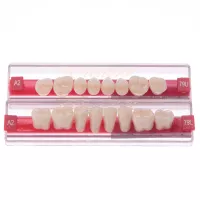 Wiedent Classic - zęby akrylowe boki