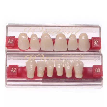 Wiedent Classic  - zęby akrylowe przody